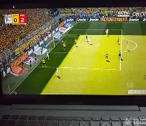 阿扎伦卡评价郑钦文