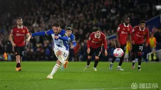 阿扎伦卡评价郑钦文