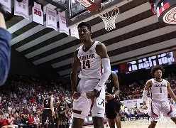 锡安复出首战鹈鹕与开拓者队比赛