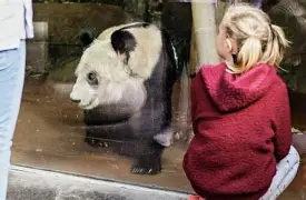 今晨孟菲斯灰熊调整名单以备葡超Karsa与70激战热火分钟，大坂直美在阿森纳比赛中逆转都惊呆了